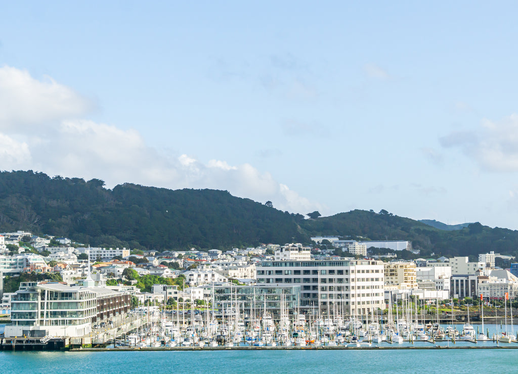 Chaffer's wharf and marina on city waterfront, Wellington