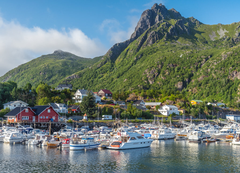 View of the city of Svolvaer, Norway, Lofoten Islands, beautiful summer landscape, houses and yachts on a background of mountains