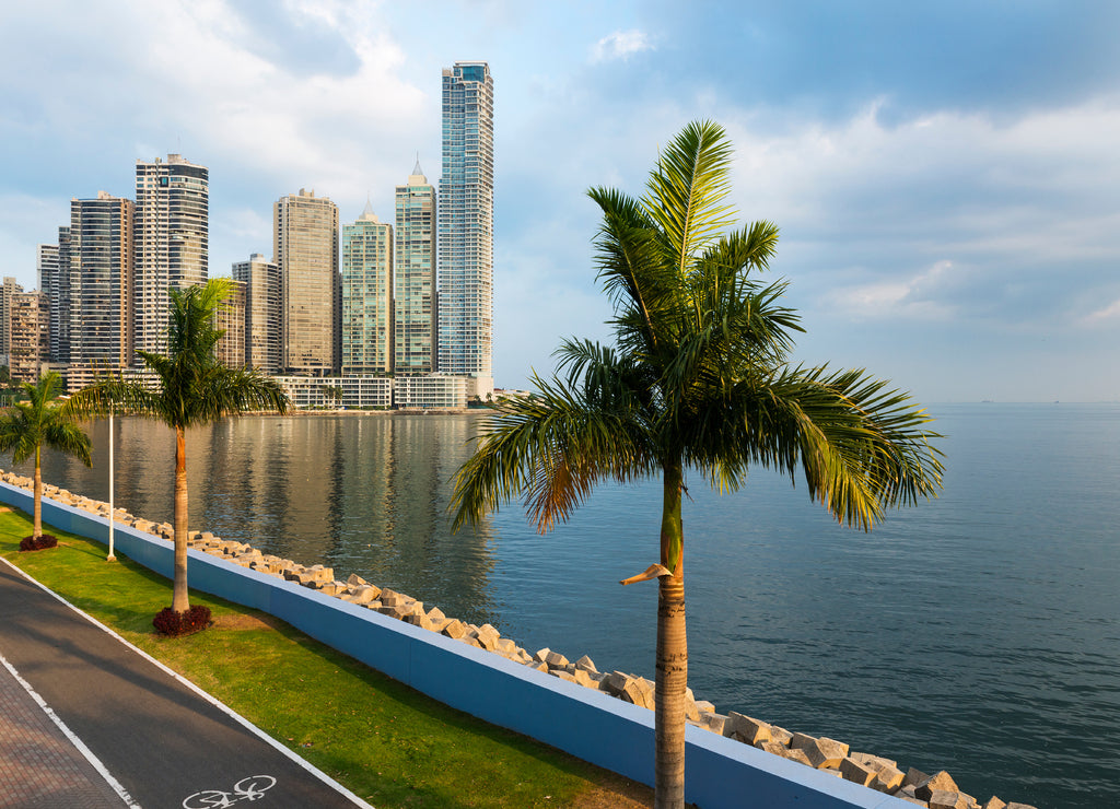 View of the financial district in downtown City of Panama, Panama, with a cycling lane and Palm Trees; Concept for travel in Panama