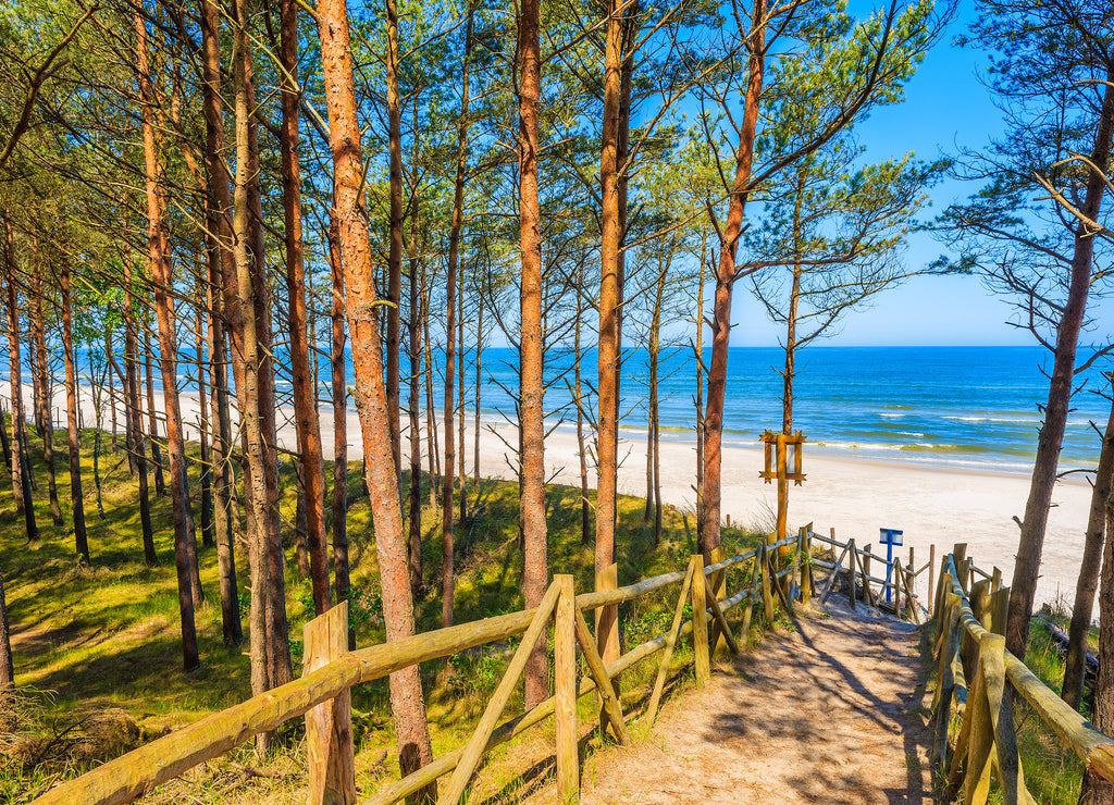 Path in forest to beautiful beach in Lubiatowo coastal village, Baltic Sea, Poland