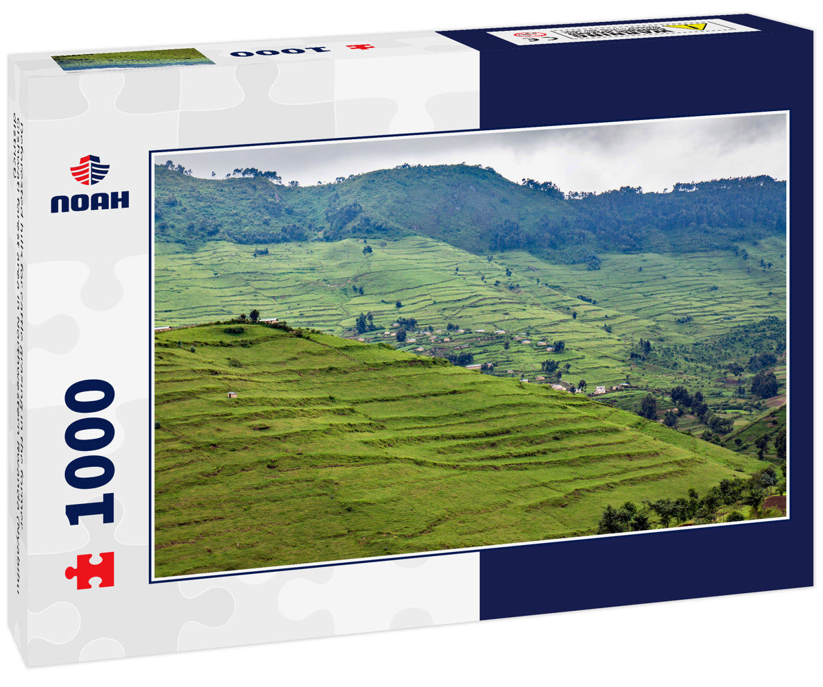 Deforested hills for cattle grazing in the former Gishwati forest area in Northwestern Rwanda (Nyabihu district)