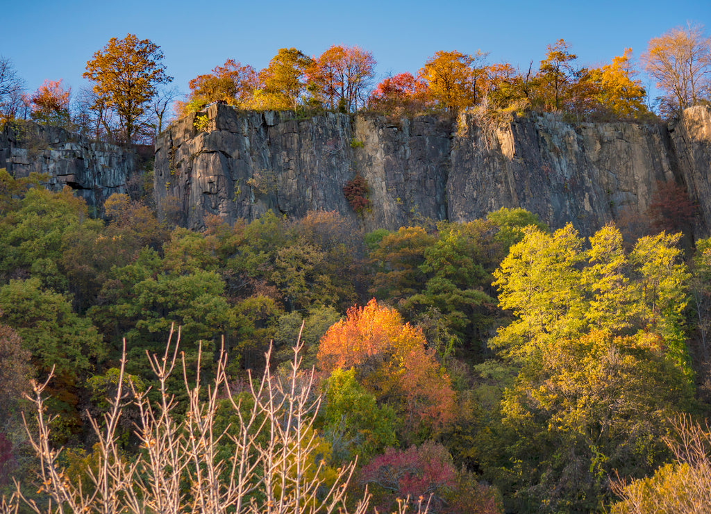 Looking Up at the Palisades-Alpine Picnic Area along the Hudson River in New Jersey