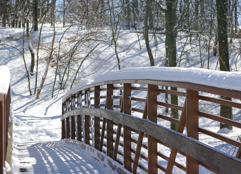 Wooden bridge in the Merrill Park, Colonia, Woodbridge Township, Middlesex County, New Jersey, USA
