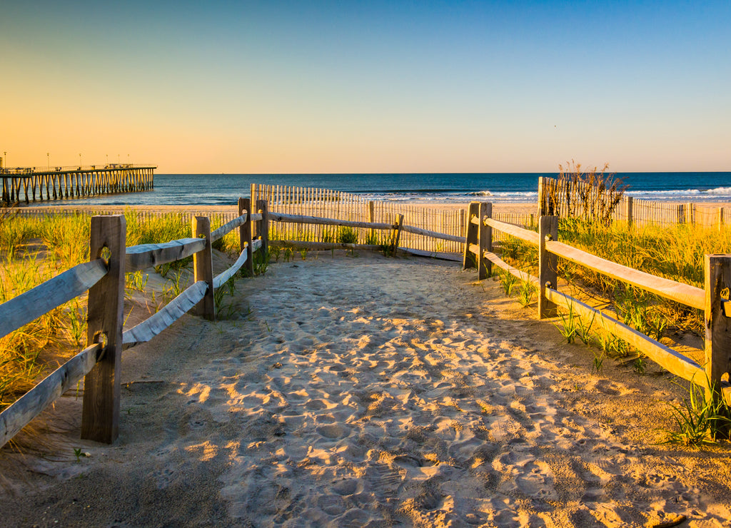 Path over sand dunes to the Atlantic Ocean at sunrise in Ventnor, New Jersey