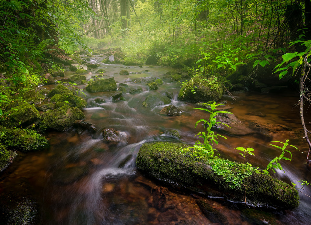 Tillman's Brook on a steamy, humid summer morning in Stokes State Forest, Branchville, New Jersey