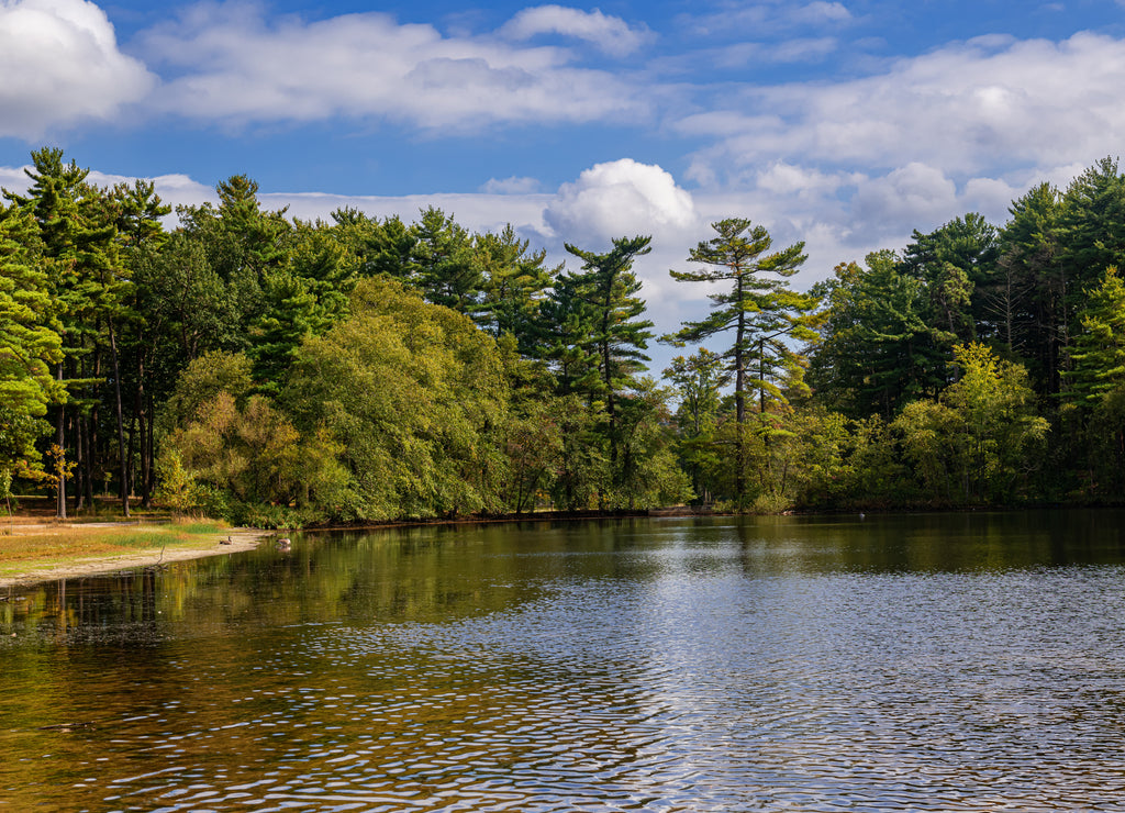 Ocean County Park Lake, New Jersey
