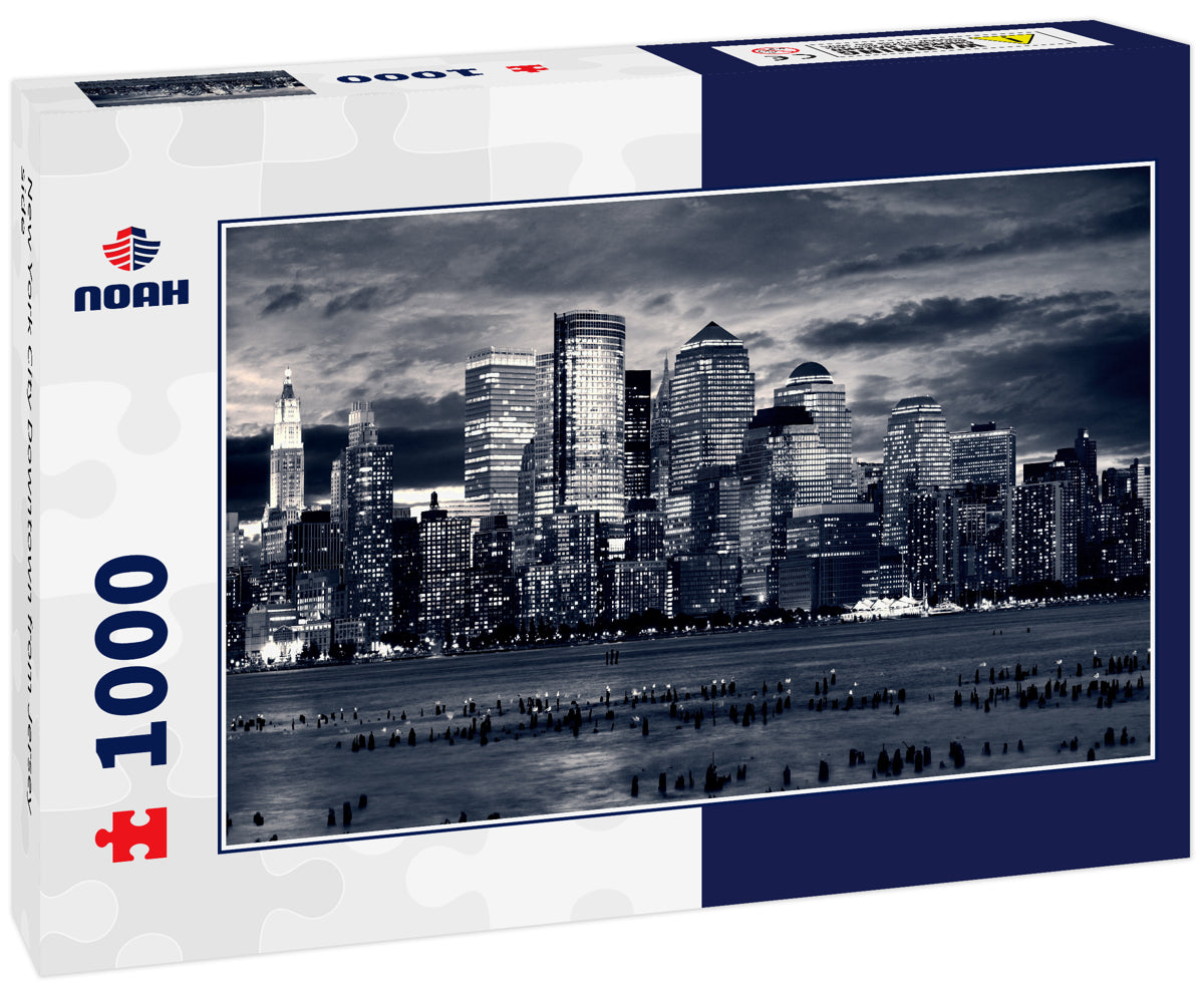 New York City Downtown from Jersey side