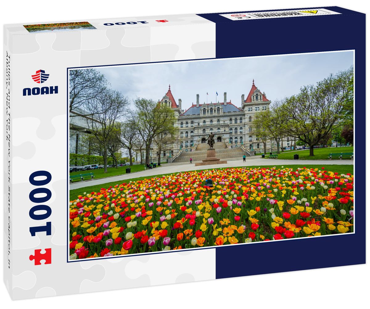 Tulips and The New York State Capitol, in Albany, New York