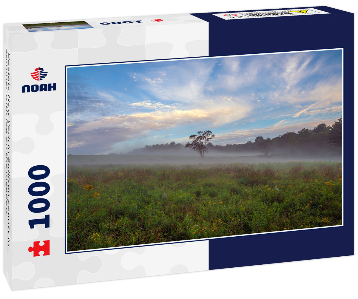 Upstate New York in Sullivan county in summer with fog on the meadow