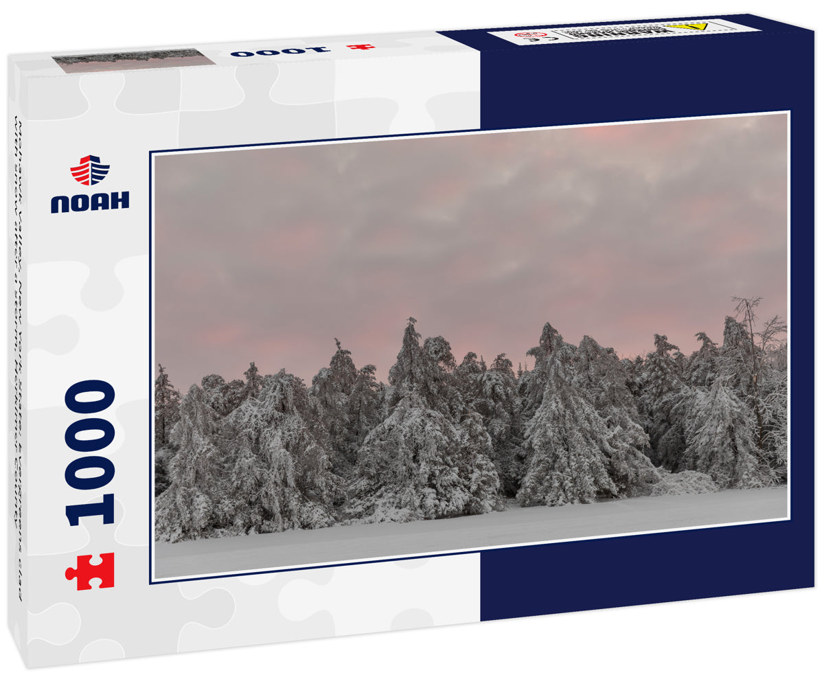 Mohawk Valley, New York State: Evergreens clad with snow after a storm, Herkimer County