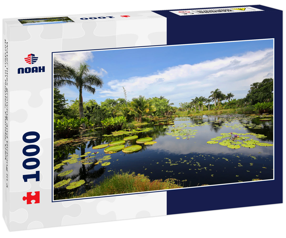 Water lilies growing and thriving in a garden in Naples, Florida, USA