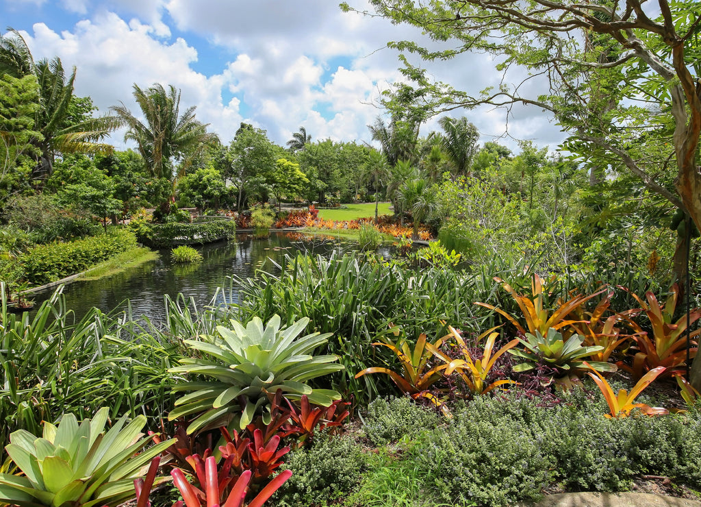 Naples Botanical Gardens, Florida