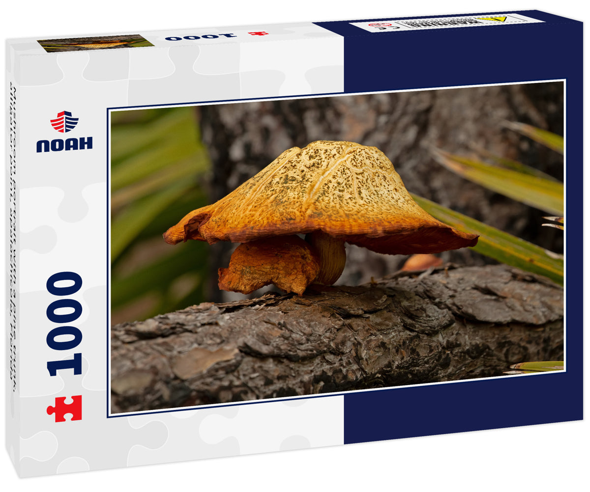 Mushroom portrait with a pine trunk, alligator point, apalachicola, Florida
