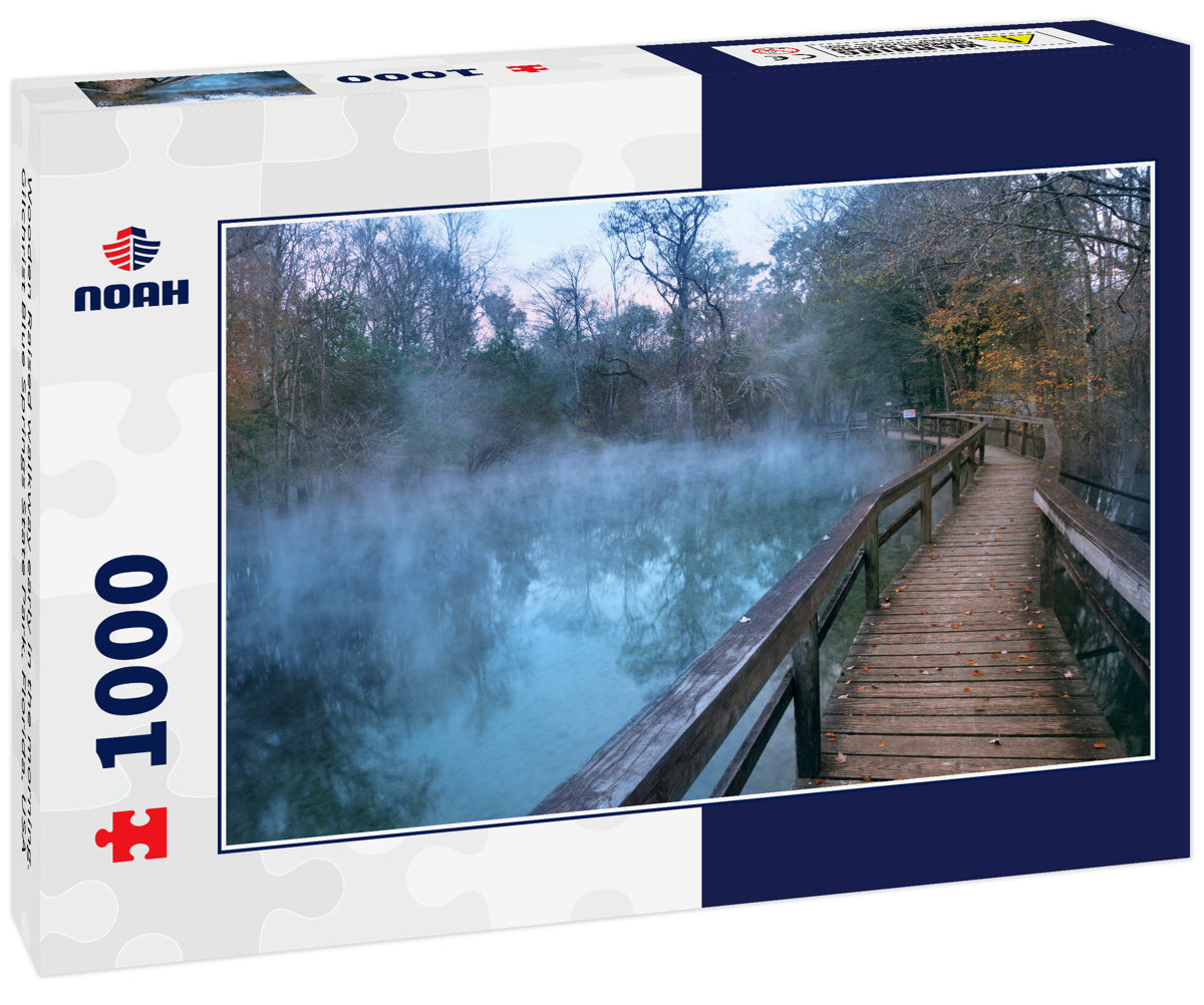 Wooden Raised walkway early in the morning. Gilchrist Blue Springs State Park, Florida, USA