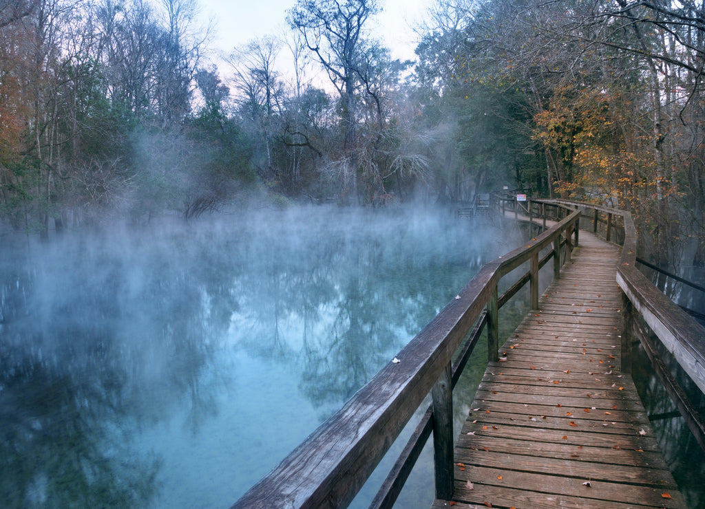 Wooden Raised walkway early in the morning. Gilchrist Blue Springs State Park, Florida, USA