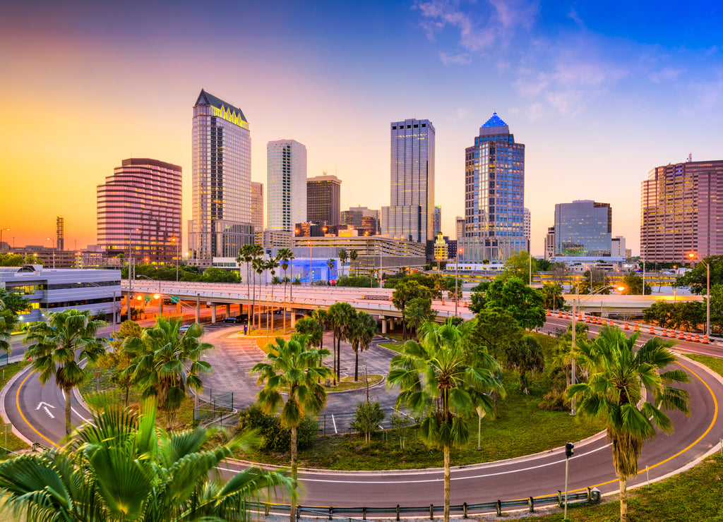 Tampa Florida Skyline