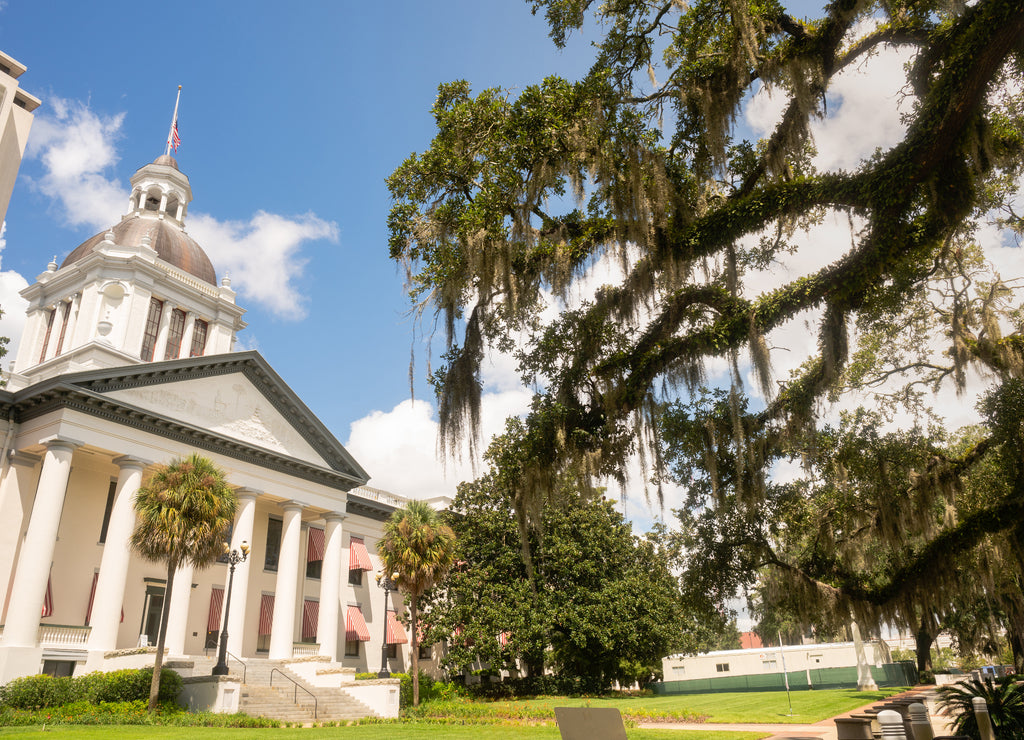 Security Barriers Protect The State Capital Building in Tallahassee Florida
