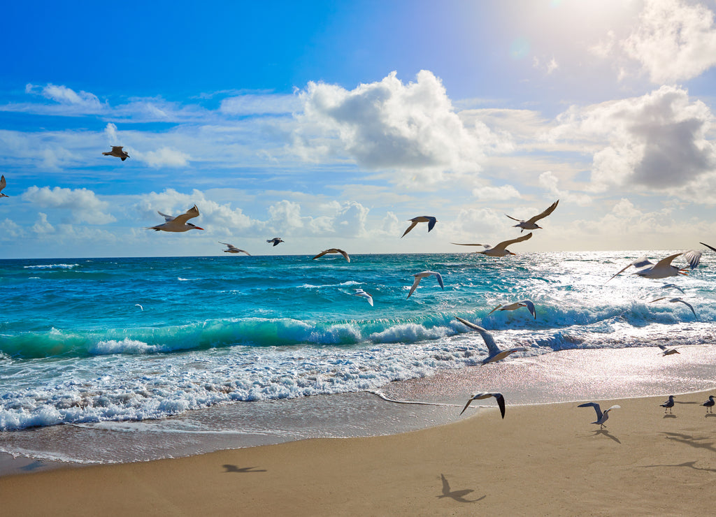 Singer Island beach at Palm Beach Florida US