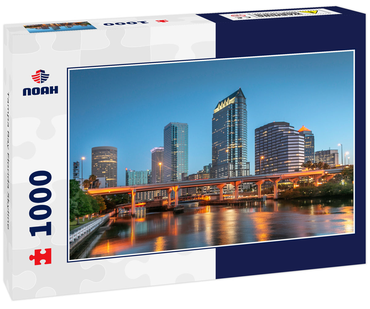Tampa Bay Florida Skyline