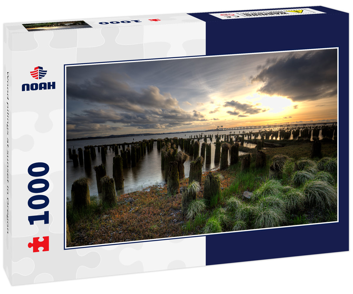 Wood pilings at sunset in Oregon