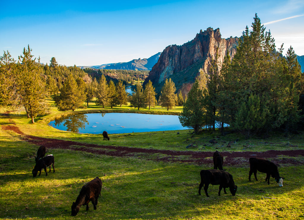 Smith Rocks State Park, a popular rock climbing area in central Oregon near Terrebonne