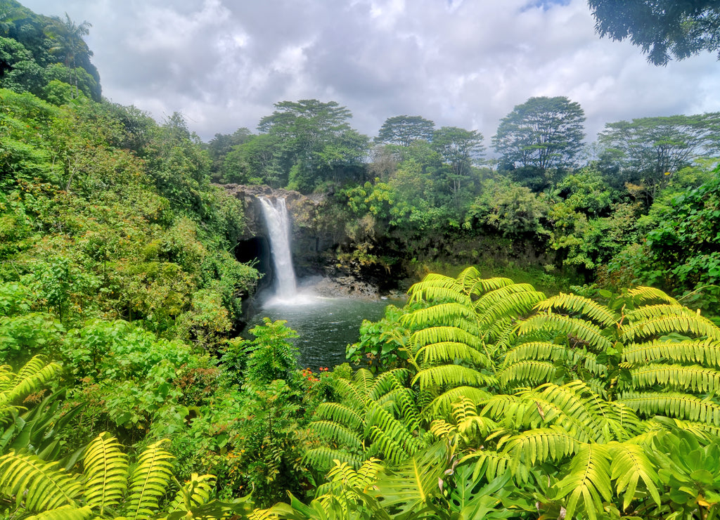 Rainbow Falls located in Hilo, Hawaii