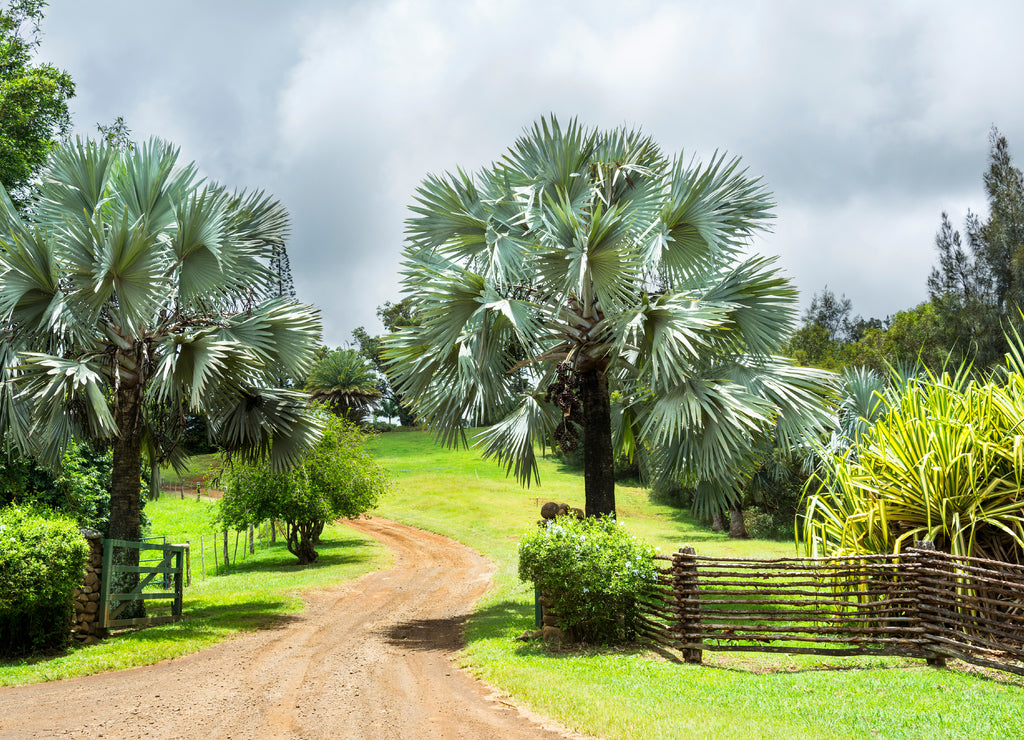 Ranch entrance in Hawaii