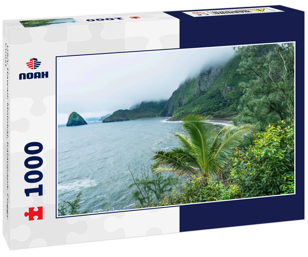 USA, Hawaii, Molokai, Kalaupapa, Foggy Coast