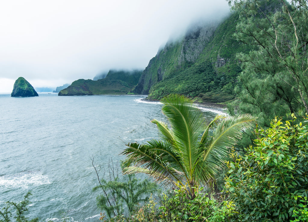 USA, Hawaii, Molokai, Kalaupapa, Foggy Coast