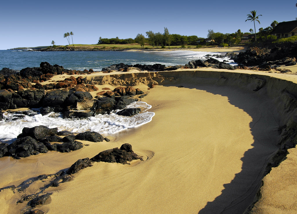 Tropical beach molokai, Hawaii