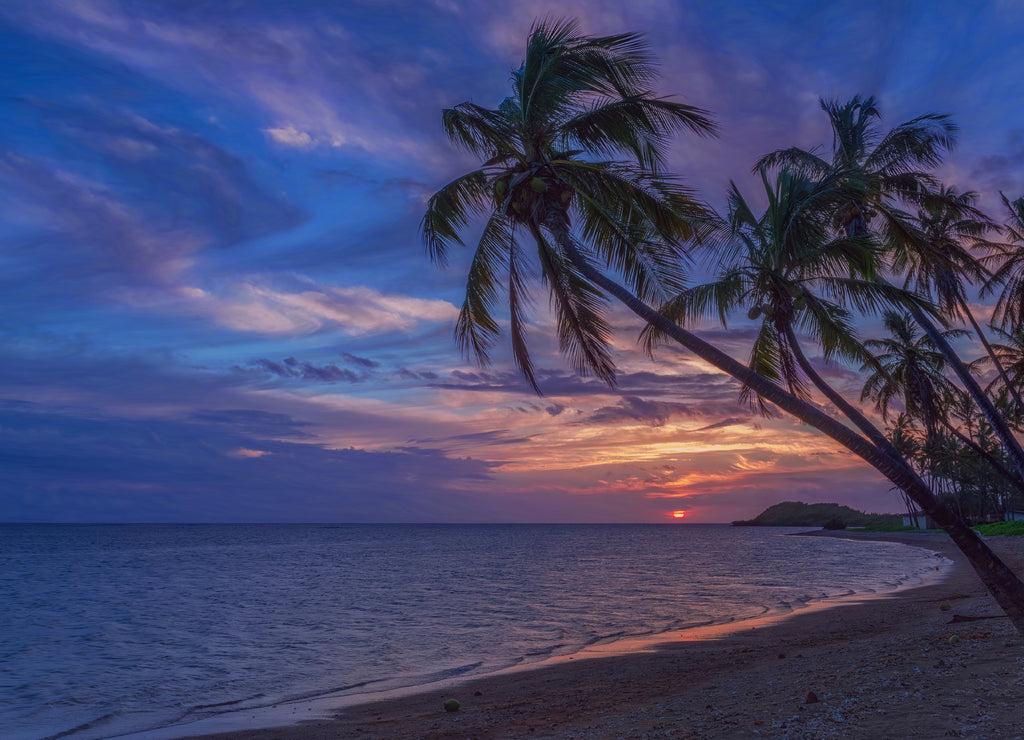 Palm trees silhouetted against the sky at sunset on a beach in Molokai, Hawaii