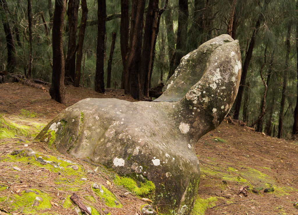 Phallic Rock in Pala'au State Park Molokai Hawaii