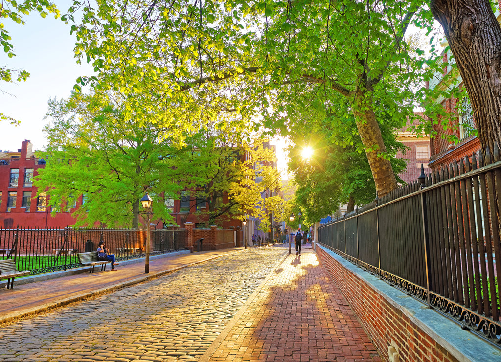 Romantic sunset viewed through the tree leaves in Philadelphia old city centre, Pennsylvania