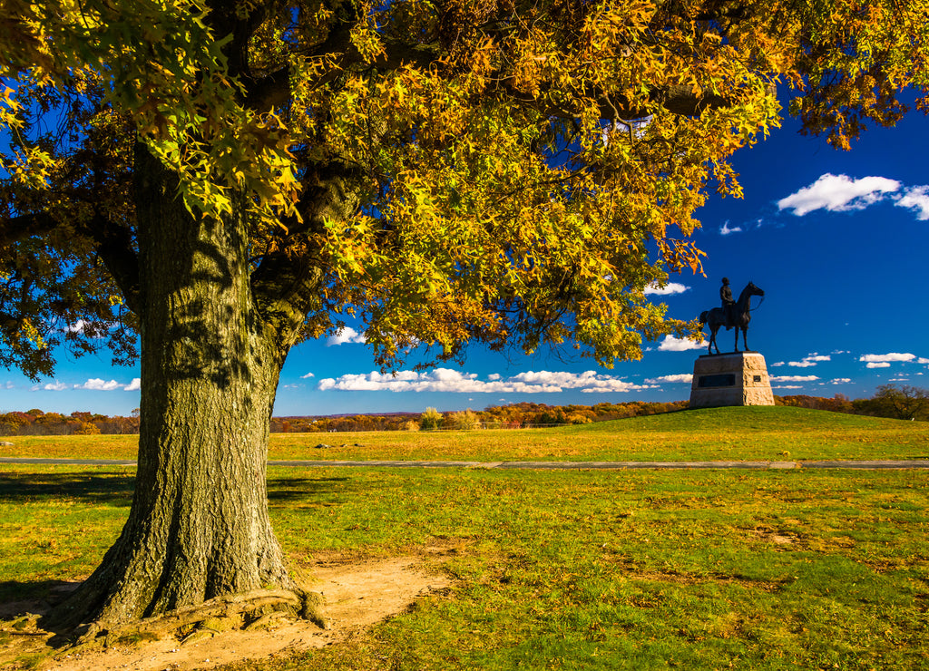 Tree and statue on a battlefield at Gettysburg, Pennsylvania