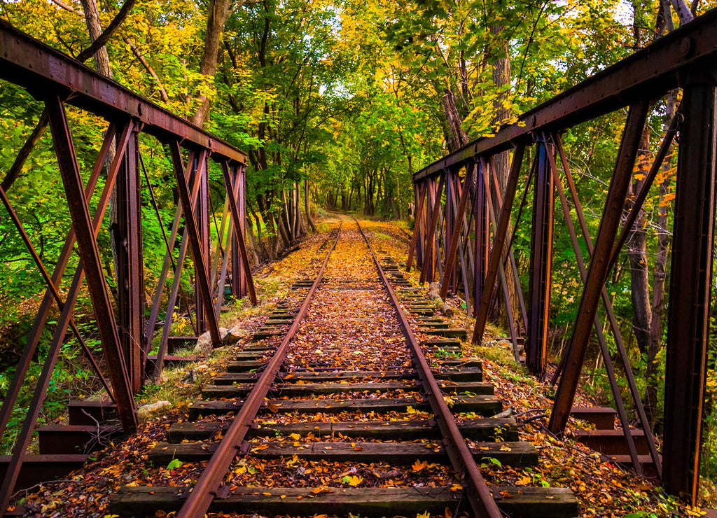 Railroad tracks covered in autumn leaves, near Stewartstown, Pennsylvania