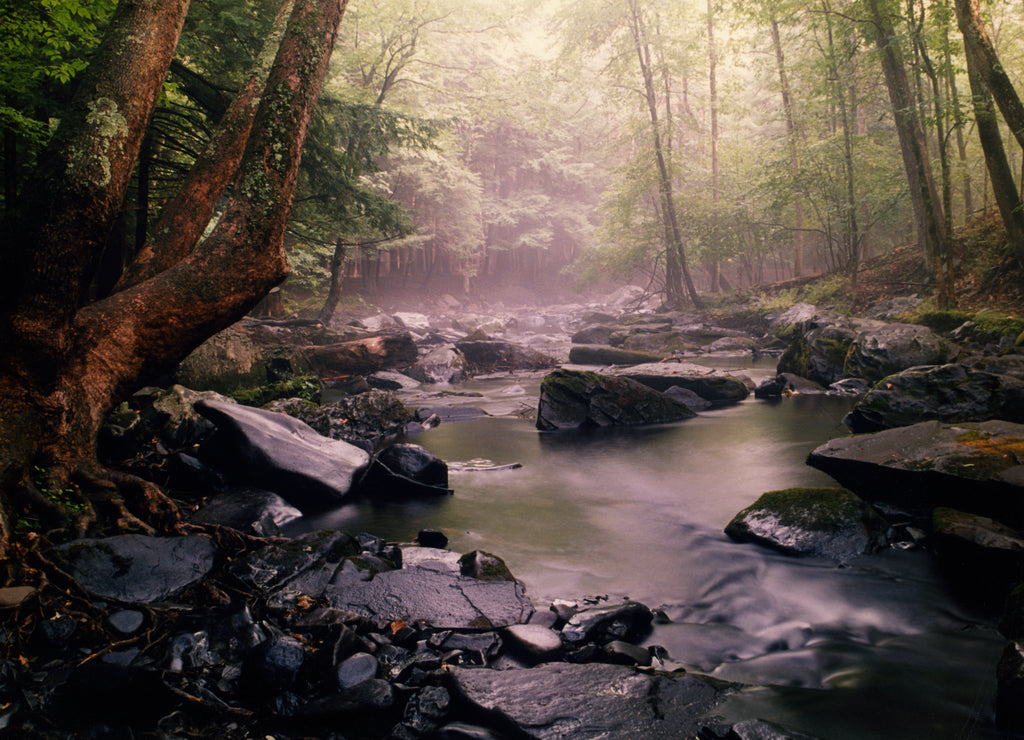 Along the Red Path, Bushkill Falls, Pennsylvania