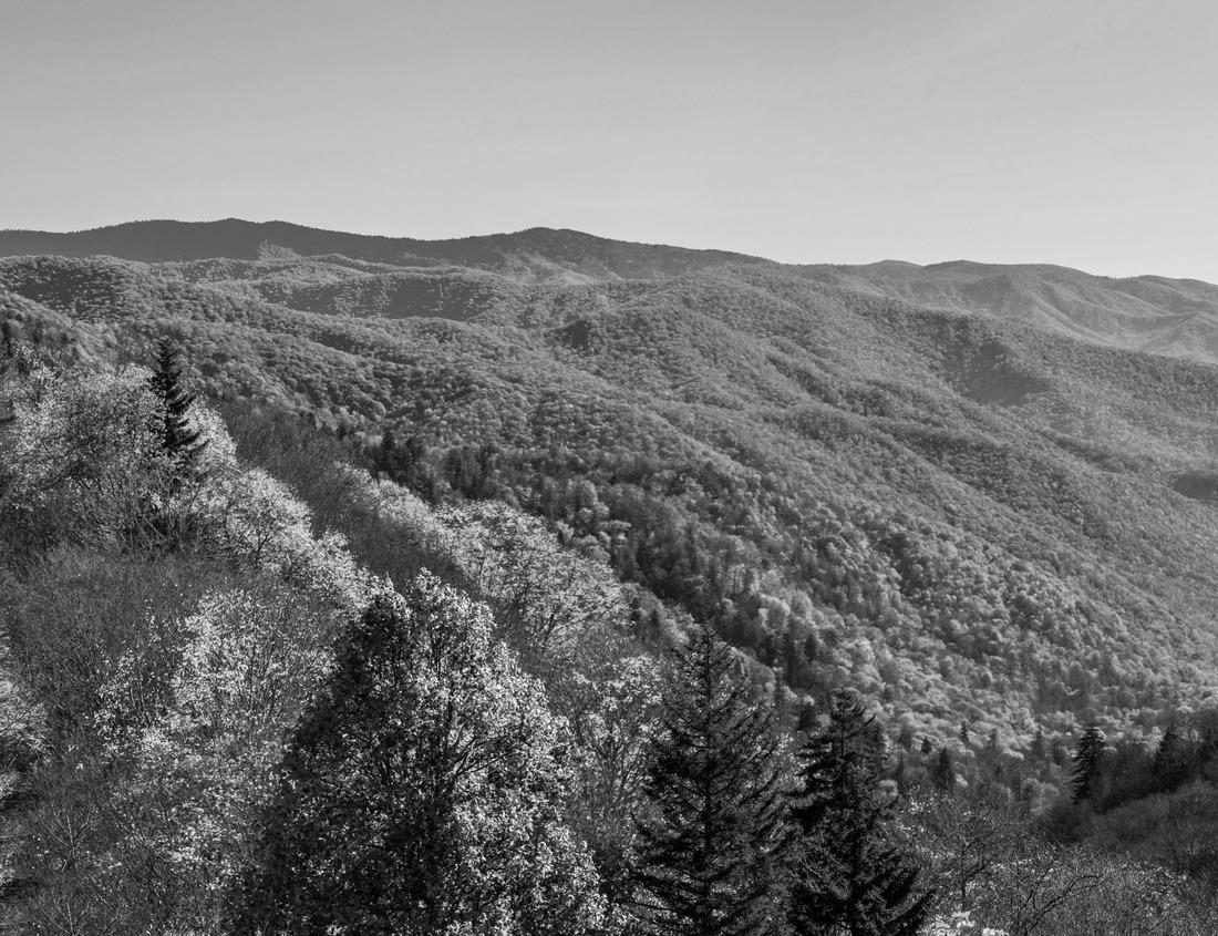 Noah Jigsaw Puzzle Ghent, Belgium old town cityscape from the river are at dawn in black white 1000 pieces