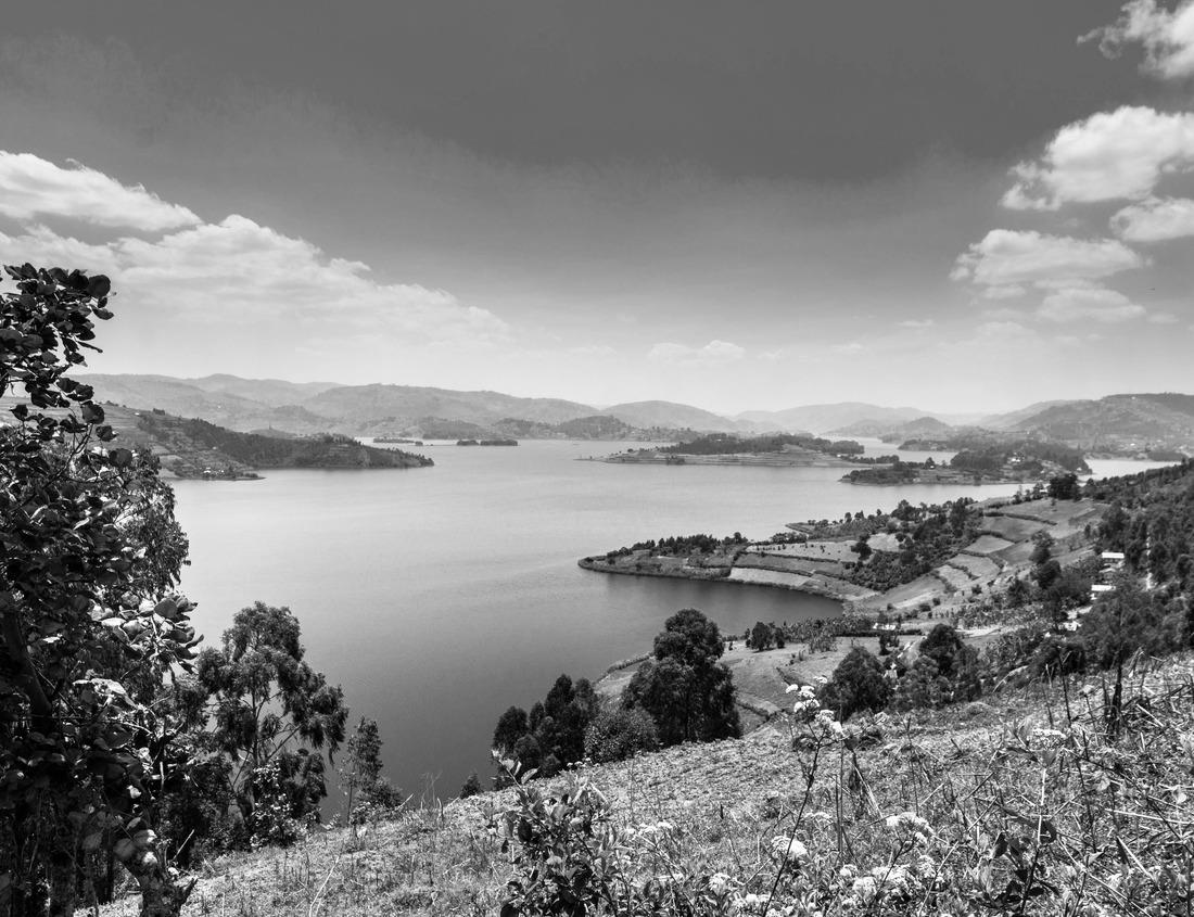 Noah Jigsaw Puzzle desert landscape in Saguaro National Park in black white 1000 pieces