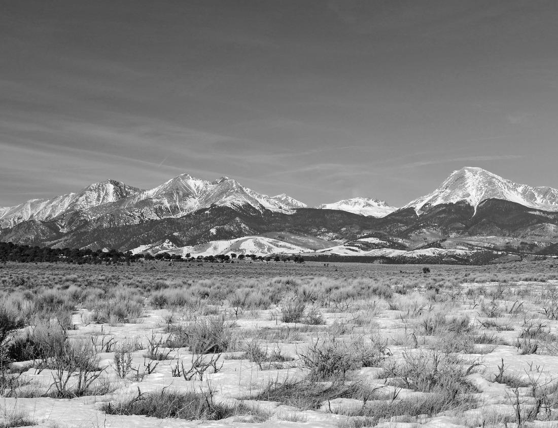 Noah Jigsaw Puzzle Aerial view of South Orange County's Laguna Niguel, California in black white 1000 pieces