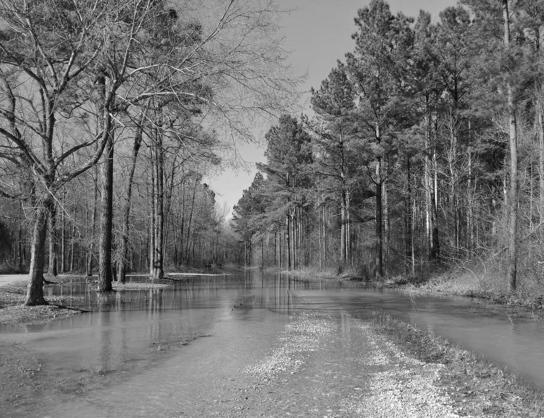 Noah Jigsaw Puzzle Elevated view of downtown Downey, California in black white 1000 pieces