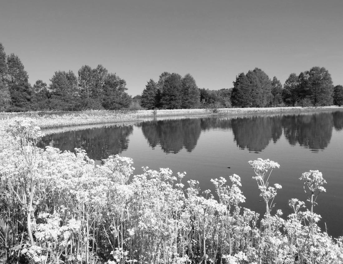 Noah Jigsaw Puzzle Lebus in Brandenburg at low water in black white 1000 pieces