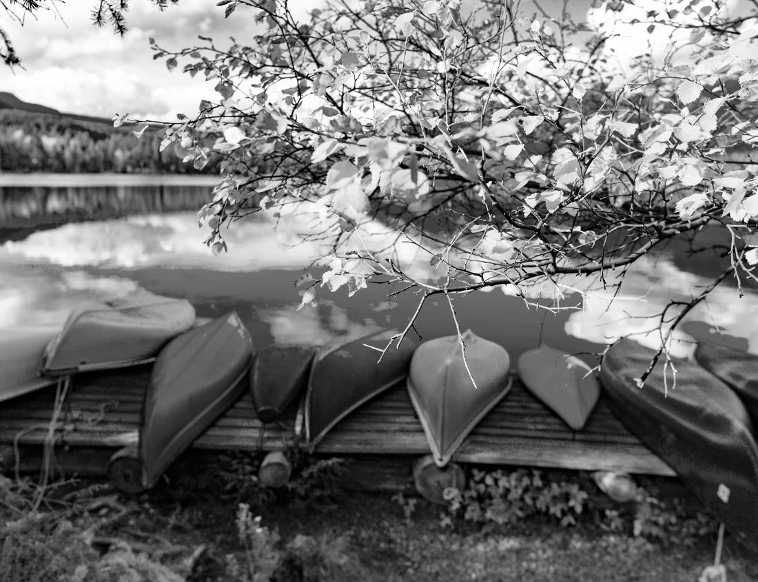 Noah Jigsaw Puzzle Albuquerque, New Mexico, USA downtown cityscape at twilight in black white 1000 pieces