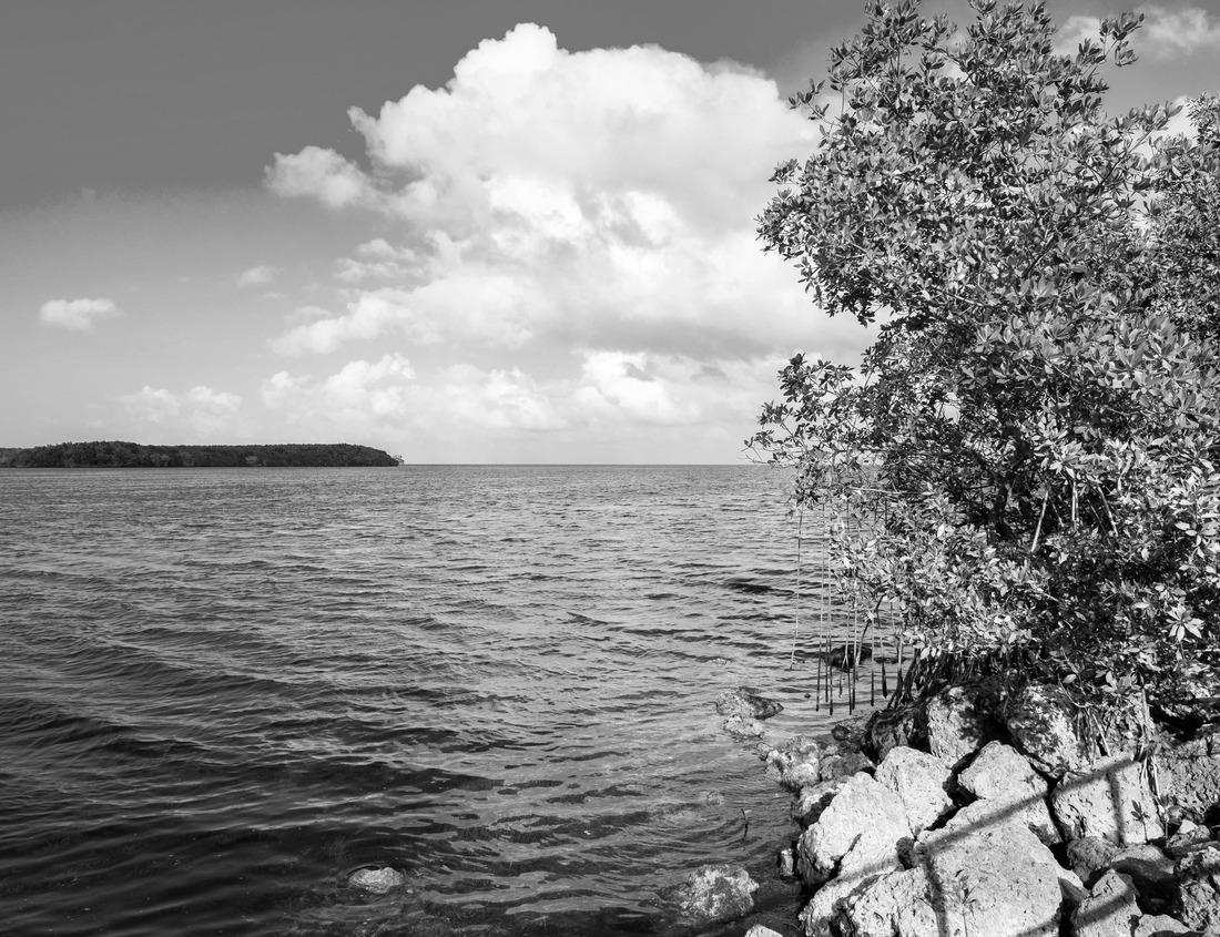 Noah Jigsaw Puzzle Monks at the Alamosa outpost, Colorado in black white 1000 pieces