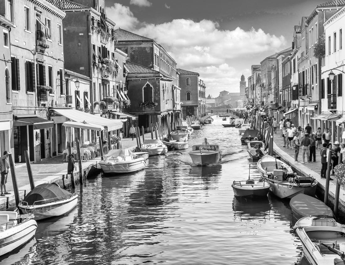 Noah Jigsaw Puzzle Houses between saguaros in Tucson Arizona in black white 1000 pieces