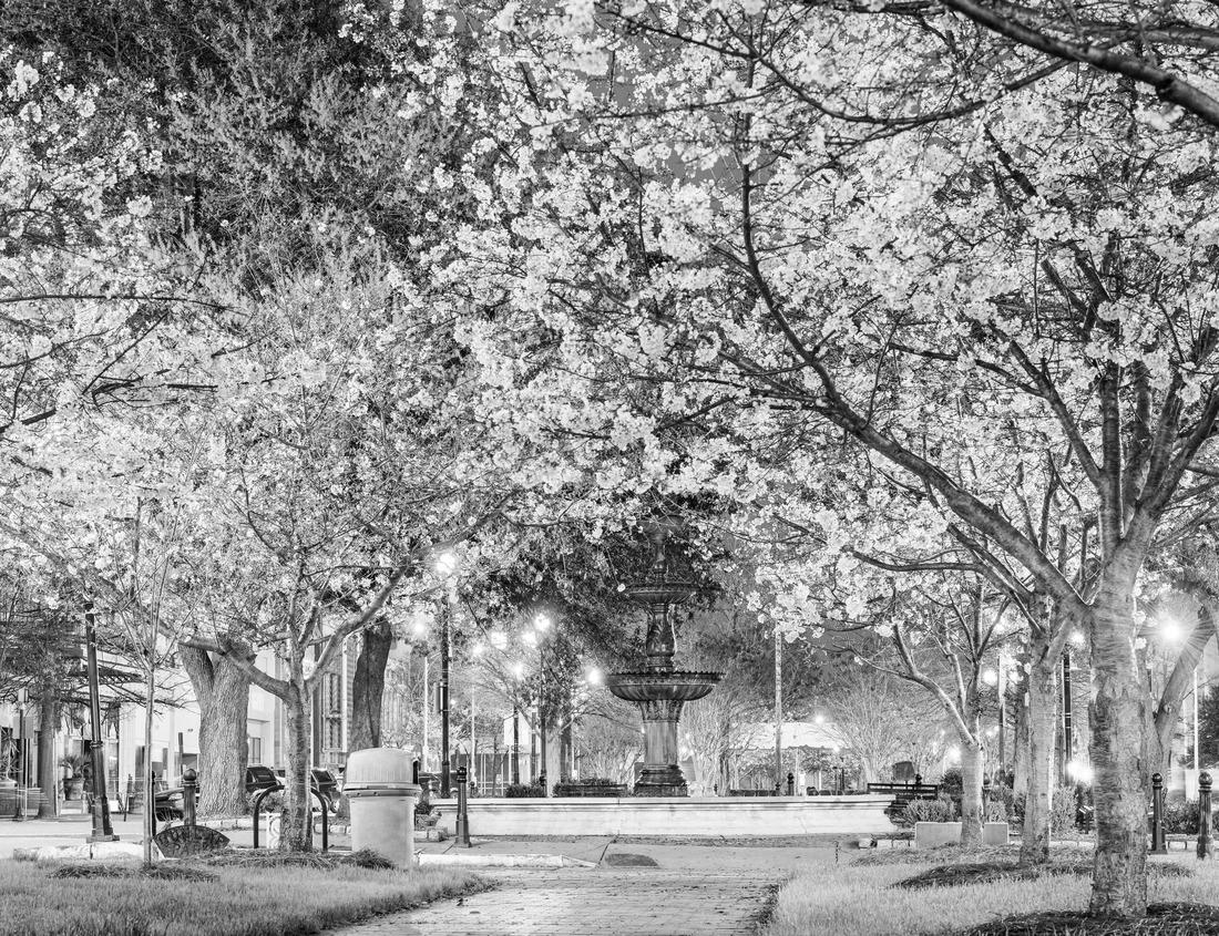 Noah Jigsaw Puzzle Indianapolis skyline Indiana US in black white 1000 pieces