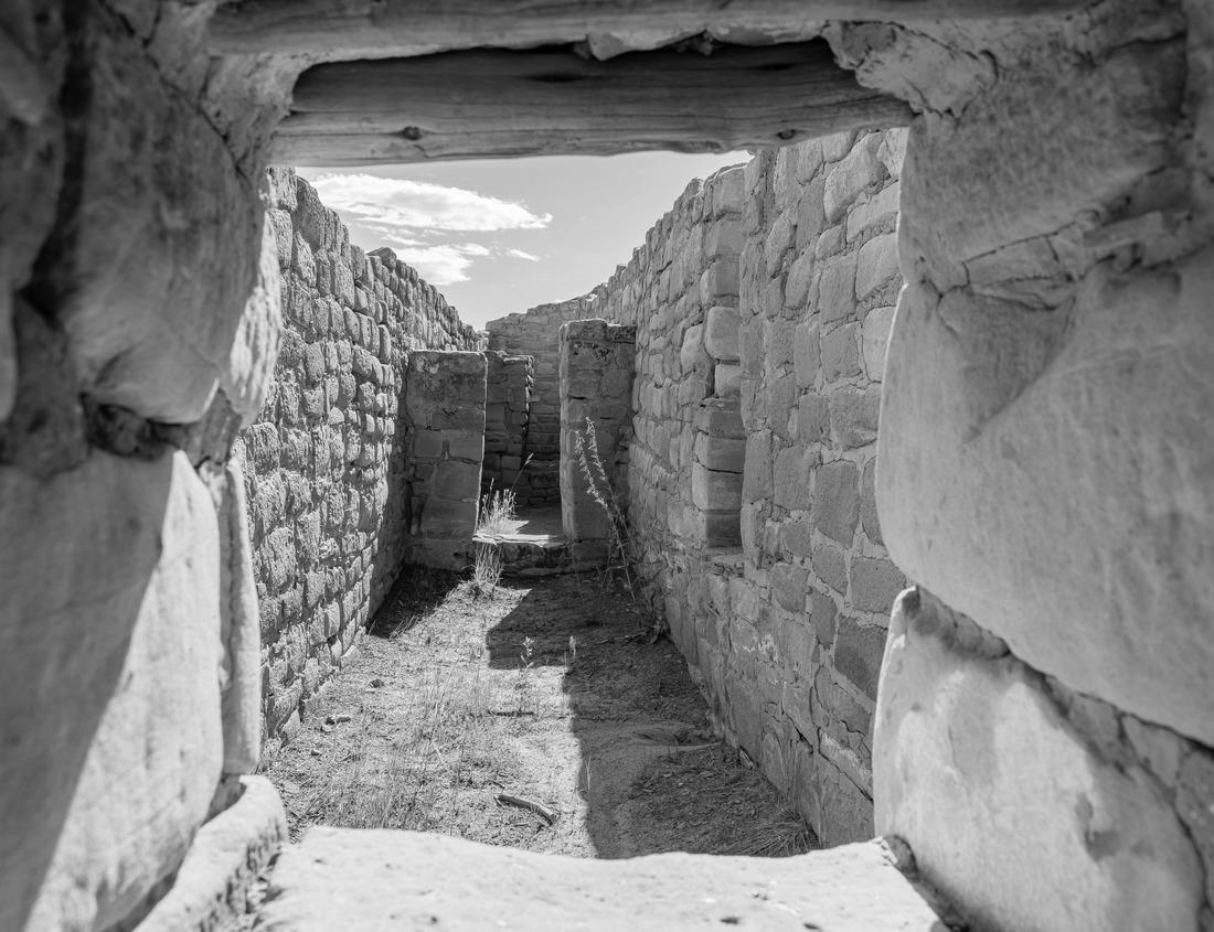 Noah Jigsaw Puzzle Mountain Rainier from the Skyline Trail in Paradise Valley, Mt Rainier National Park, Washington in black white 1000 pieces