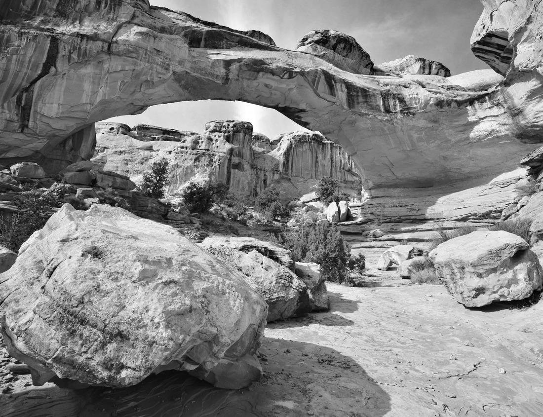 Noah Jigsaw Puzzle Autumn time at Branitzer Park and Branitz Castle, Cottbus in black white 1000 pieces