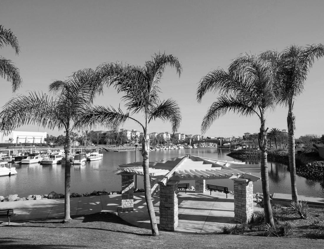 Noah Jigsaw Puzzle Abandoned Saw Mill in the Mark Twain National Forest of Missouri in black white 1000 pieces