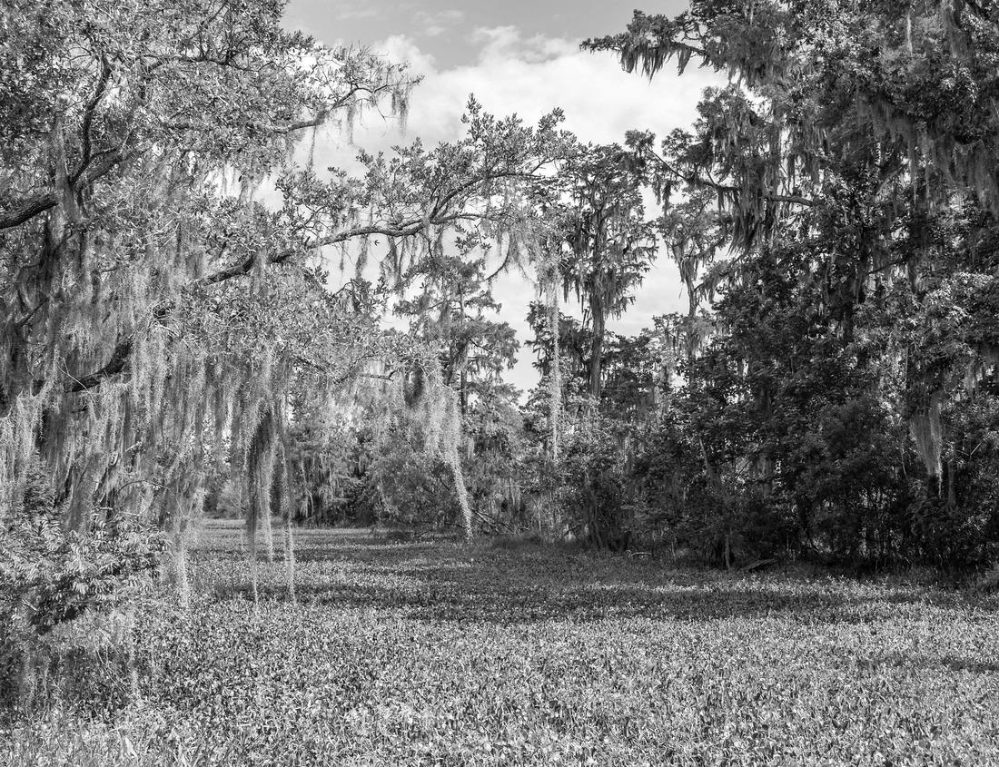 Noah Jigsaw Puzzle Backnang town hall, Baden-Württemberg, Germany in black white 1000 pieces