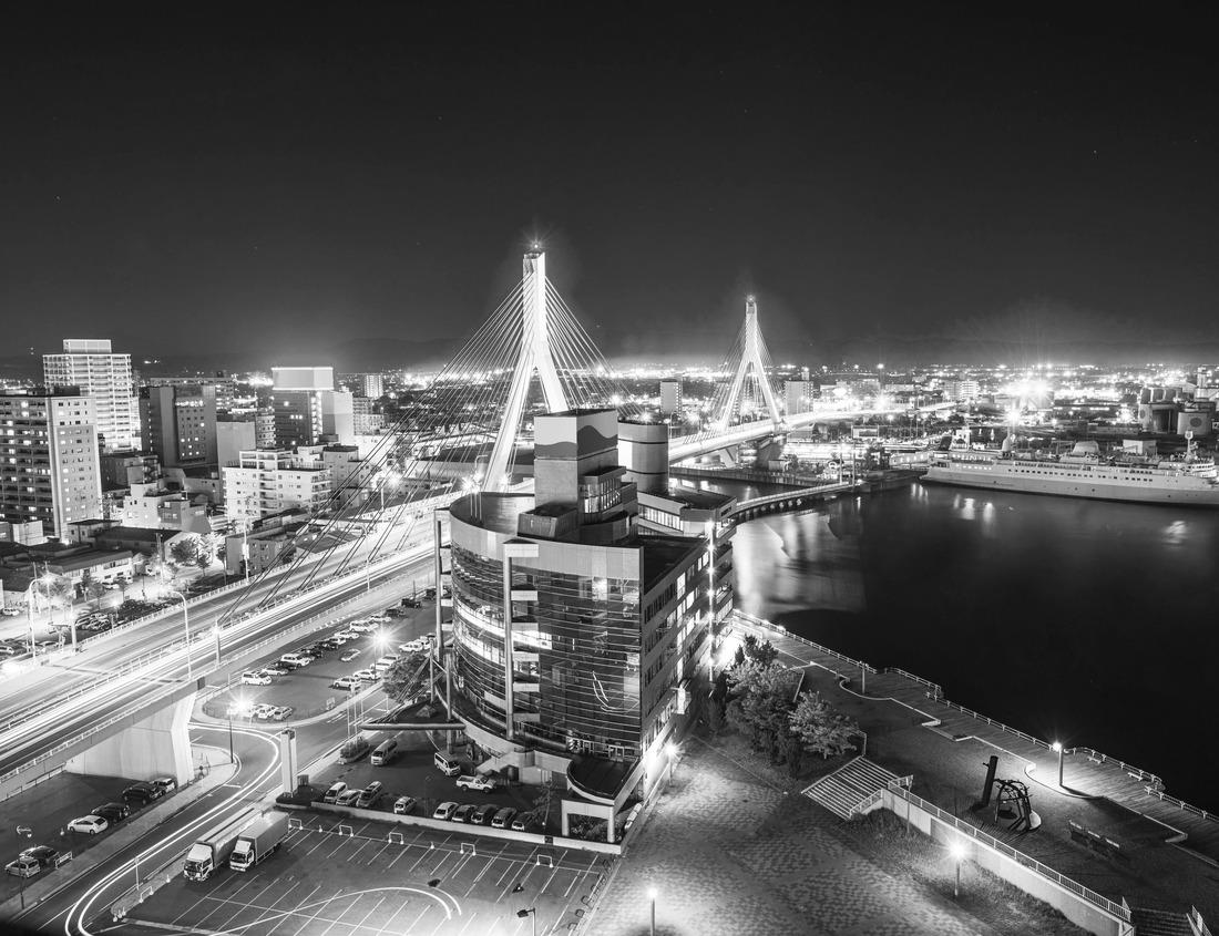 Noah Jigsaw Puzzle Indiana State Capitol Building in Indianapolis, Indiana, USA in black white 1000 pieces